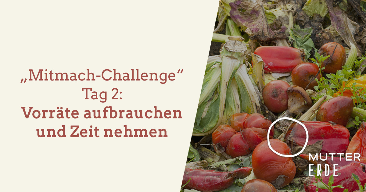 mitmach-challenge-tag-2