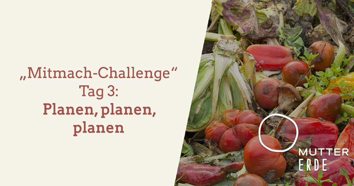 mitmach-challenge-tag-3