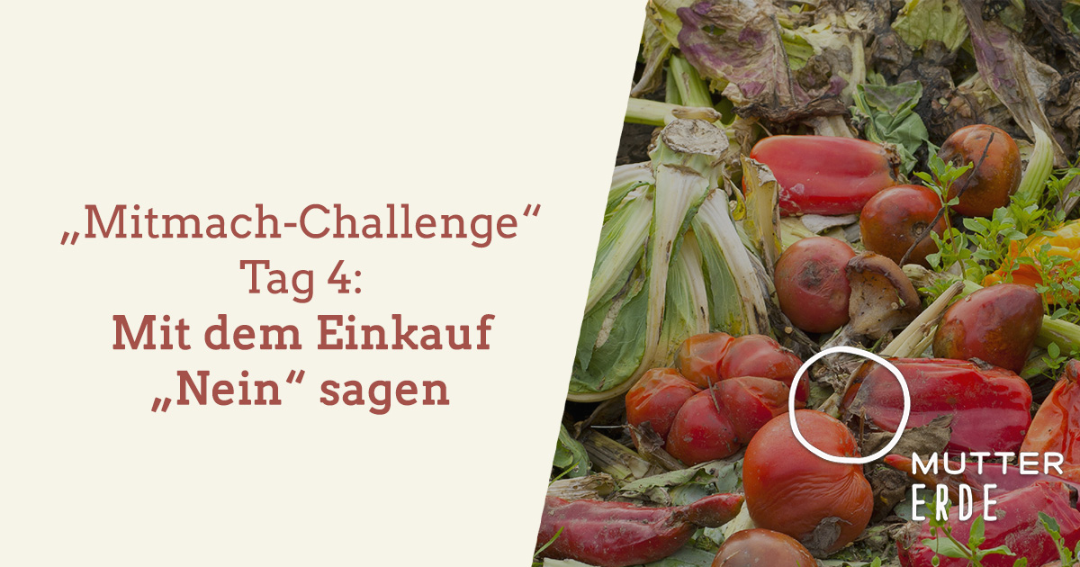 mitmach-challenge-tag-4