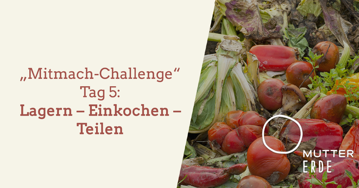 mitmach-challenge-tag-5